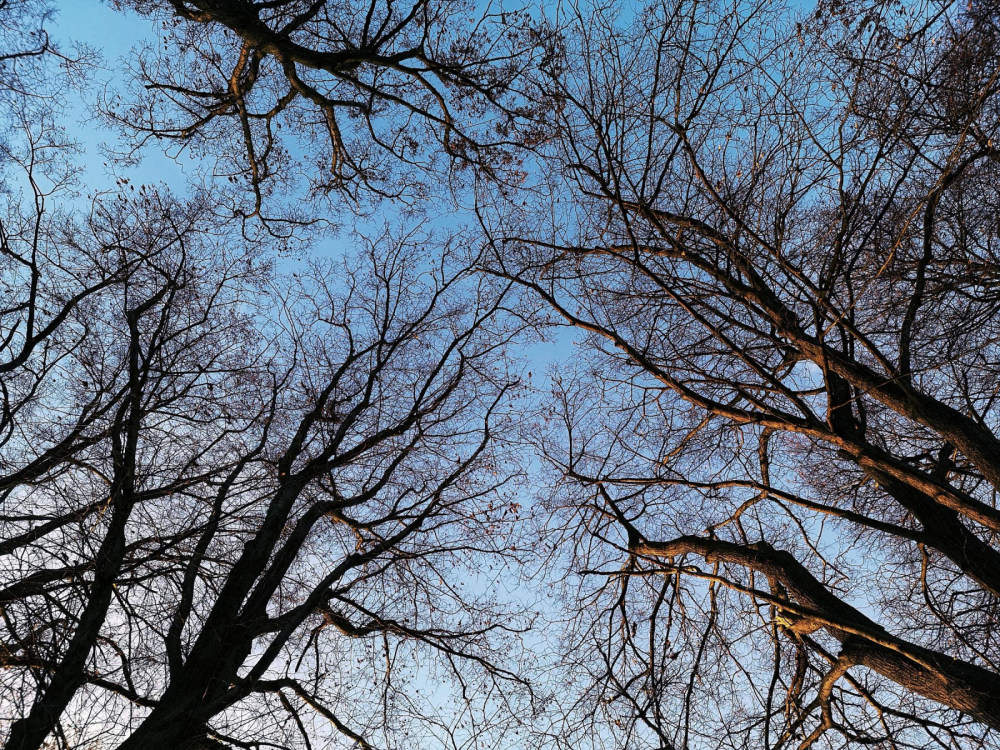 Paartherapie in Berlin