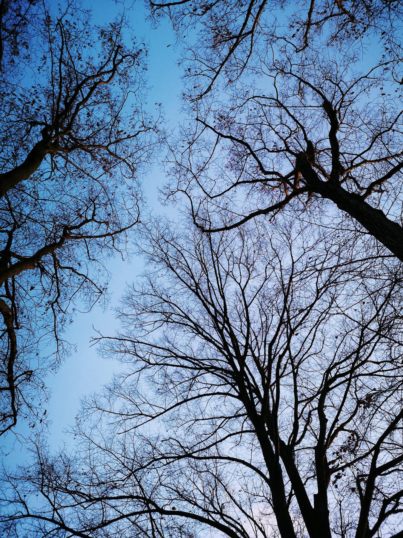 Paar- und Sexualtherapie, Systemische Therapie In Berlin - Familientherapie