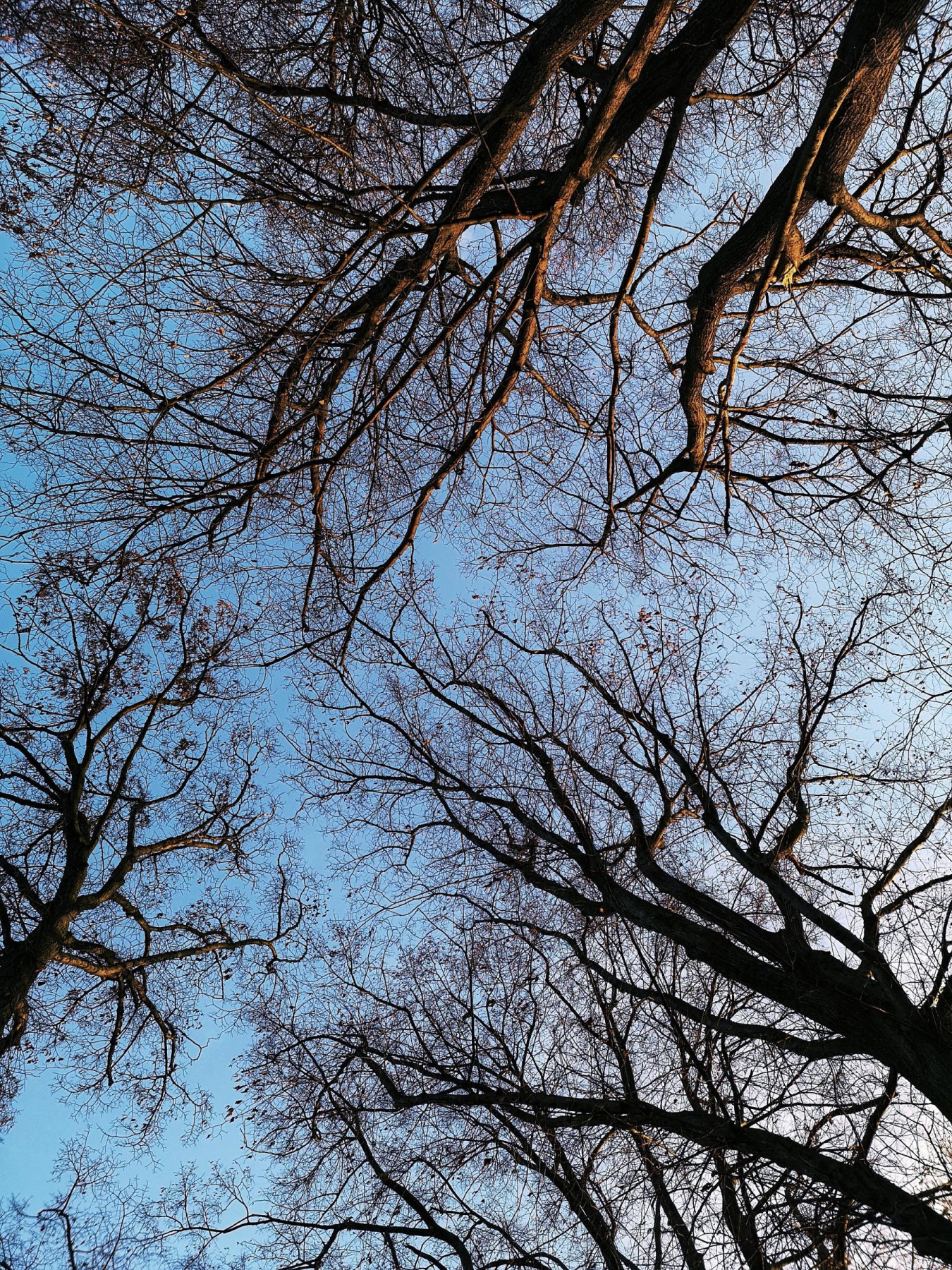 Paar- und Sexualtherapie, Systemische Therapie In Berlin - Paartherapie